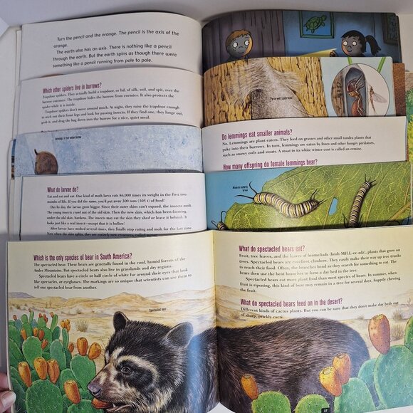 5 Scholastic Questions Answer Series Q&A Book Animals Seasons Insects Science - Picture 4 of 5